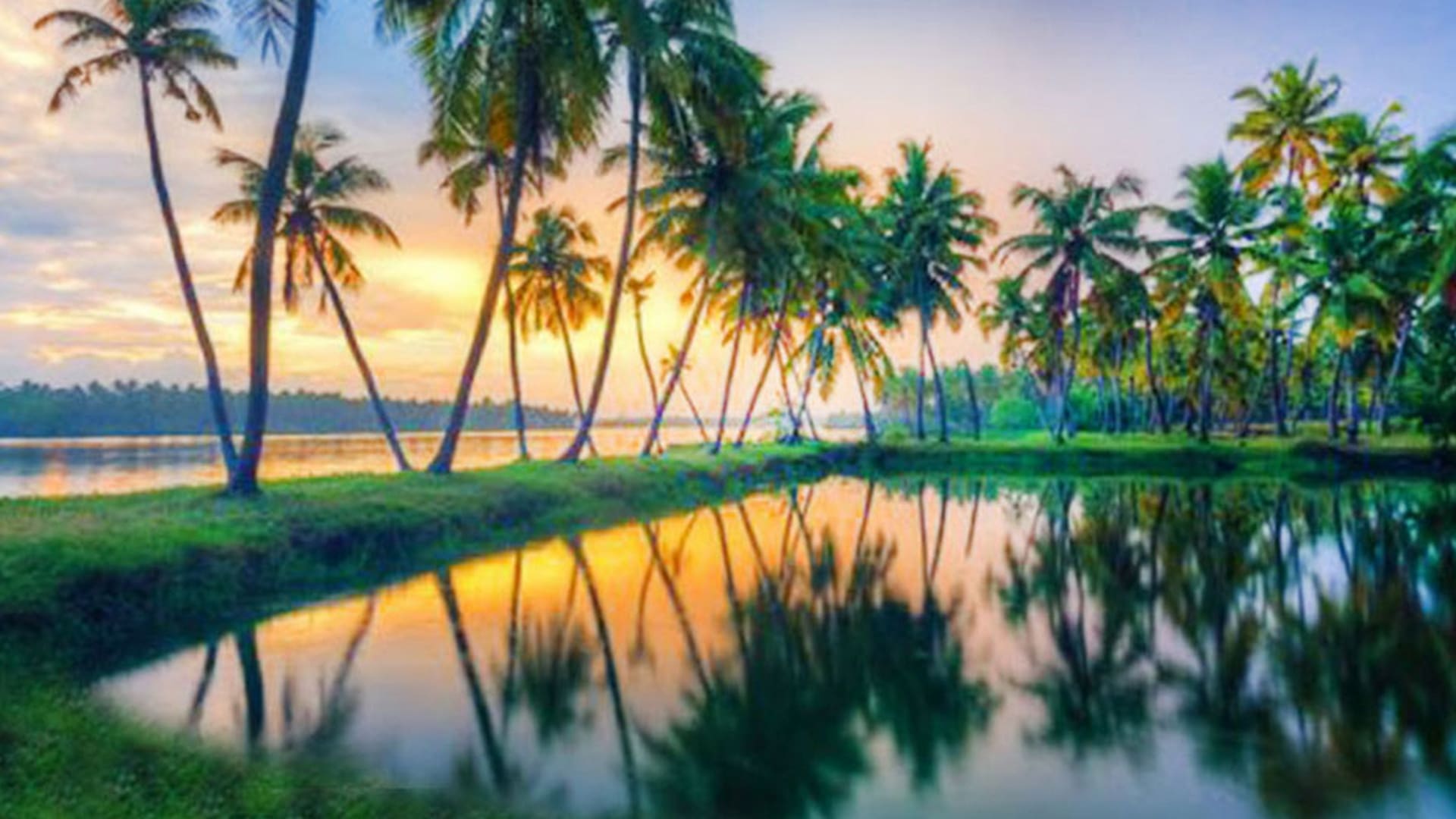 Kerala Tour Packages: A Complete Guide to God’s Own Country
