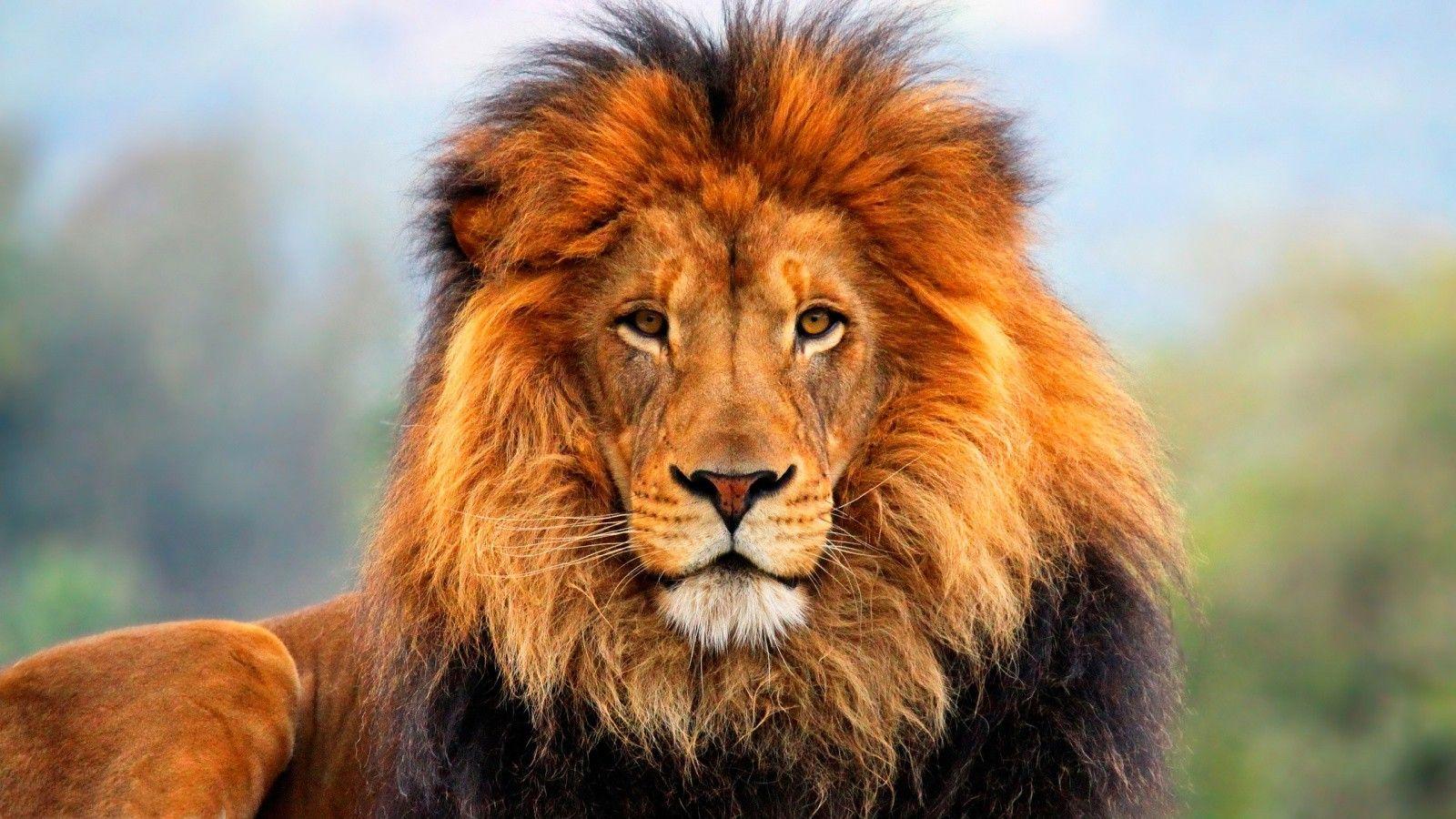 Wildlife Sanctuaries & National Parks: Exploring Nature’s Hidden Treasures